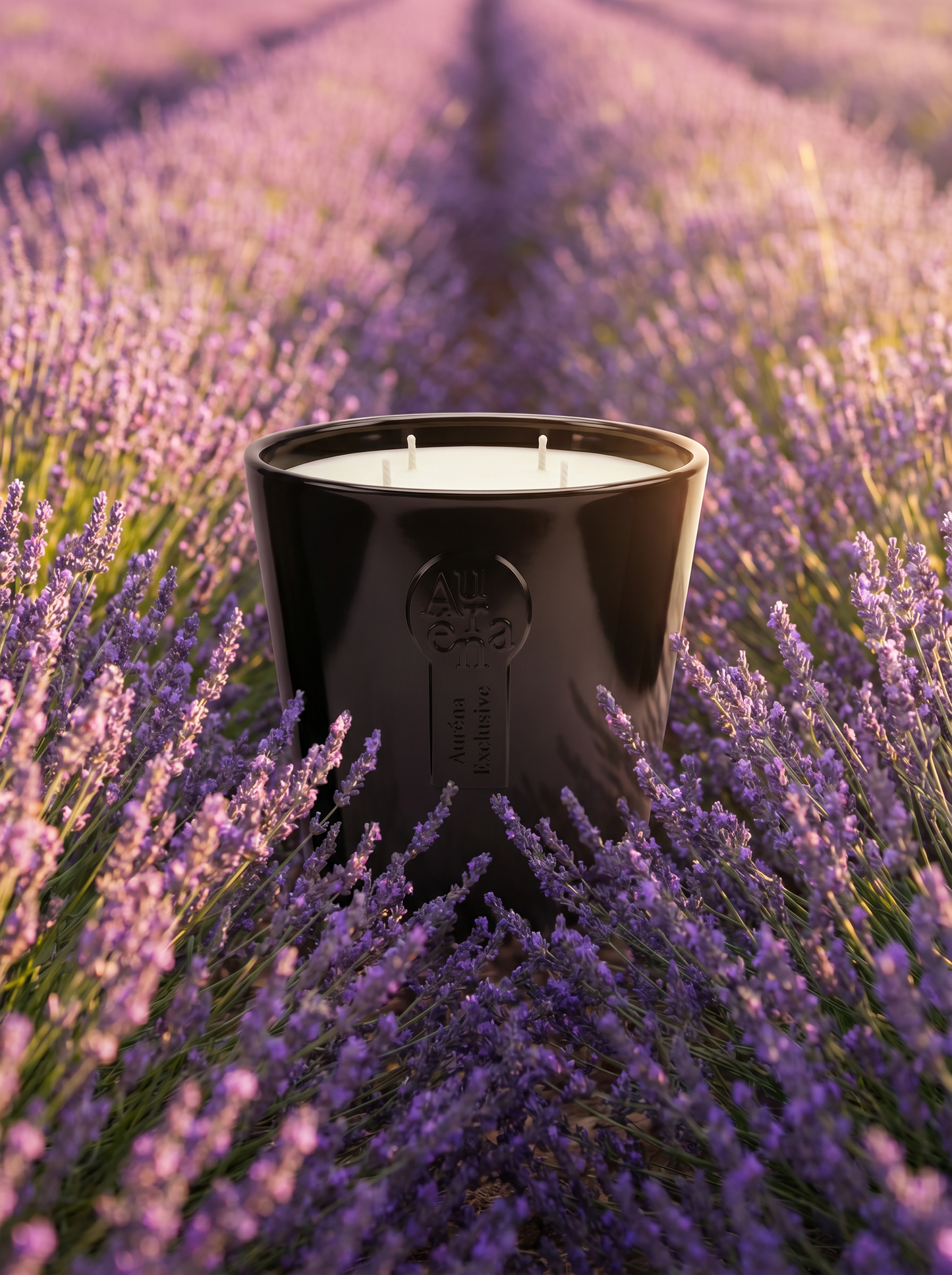 Schwarze Auréna Duftkerze mit vier Dochten inmitten eines blühenden Lavendelfelds – handgegossene Premium-Kerze aus Deutschland mit beruhigendem Lavendelduft und luxuriöser Atmosphäre.
