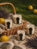 Luxuriöse Auréna Duftkerzen in einem stilvollen Outdoor-Picknick mit Lavendel, Zitronen und Weidenkorb im warmen Sonnenlicht.